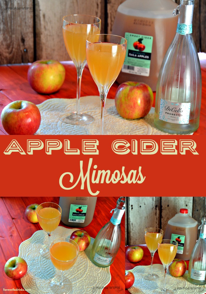 https://www.farmwifedrinks.com/wp-content/uploads/2015/10/Apple-Cider-Mimosas-Pin.jpg