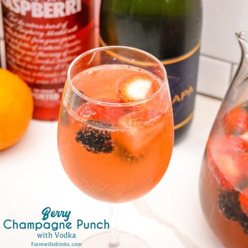 Champagne Punch  Easy Punch for a Crowd –